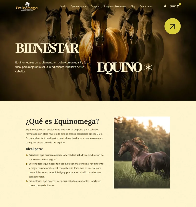 Imagen representativa del servicio de diseño y desarrollo de tienda virtual Equinomega brindado por Impacto Visual.