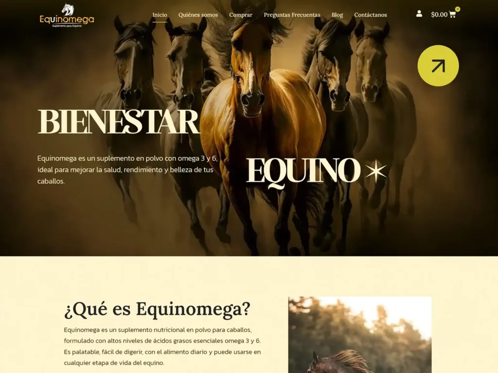 Fotos de tienda virtual desarrollado por impacto visual