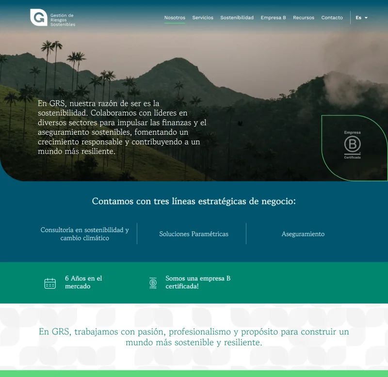 Imagen representativa del servicio de desarrollo de sitio web GRS brindado por Impacto Visual.